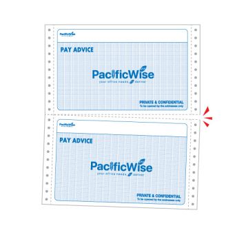 Customized Printing Pay Slip 9.5 x 11 Inch 3 Ply 2 Up 500 Fans 1 Colour + 1 Colour