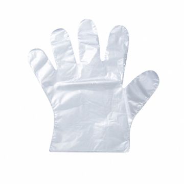 Disposable Plastic Glove PE Free Size Food Handling 100 Pcs/Pack