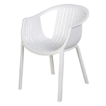 Felton Plastic Lounge Chair FCA 2276 Random Colour 1 Unit