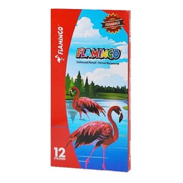 Flamingo CP12L Coloured Pencils 12 Colours Long
