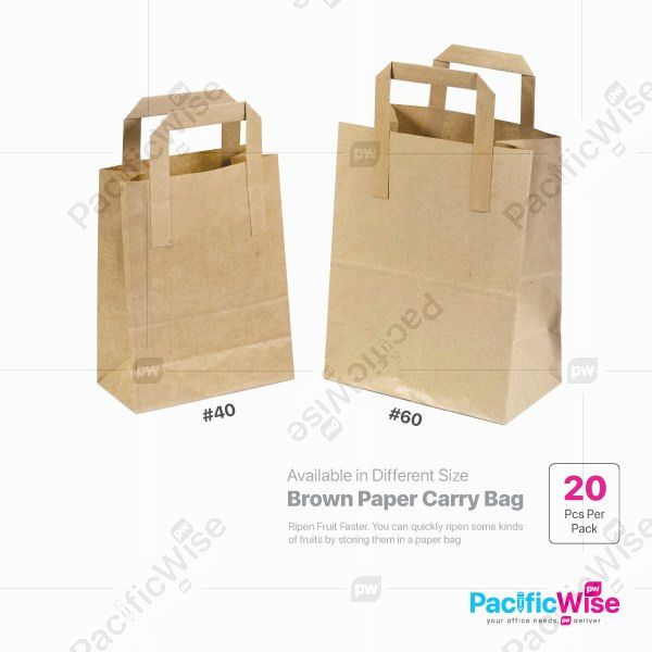 Brown Paper Carry Bag/Brown Kraft Paper Bag/Beg Kertas/Packaging Product (20pcs)